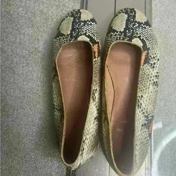 Madewell The Cory Flat in Snake Embossed Leather Flats Square Toe Shoes - Picture 1 of 7